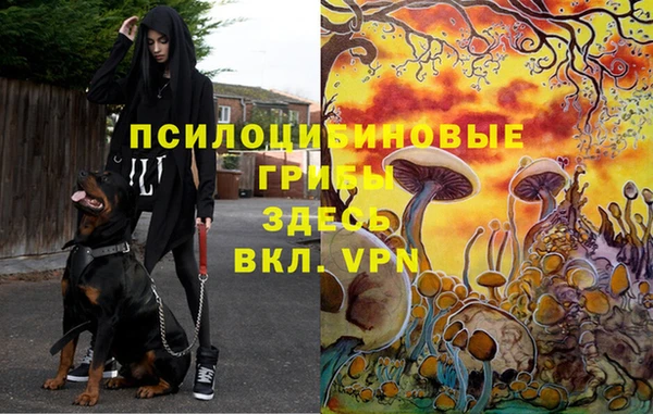 дистиллят марихуана Алексеевка